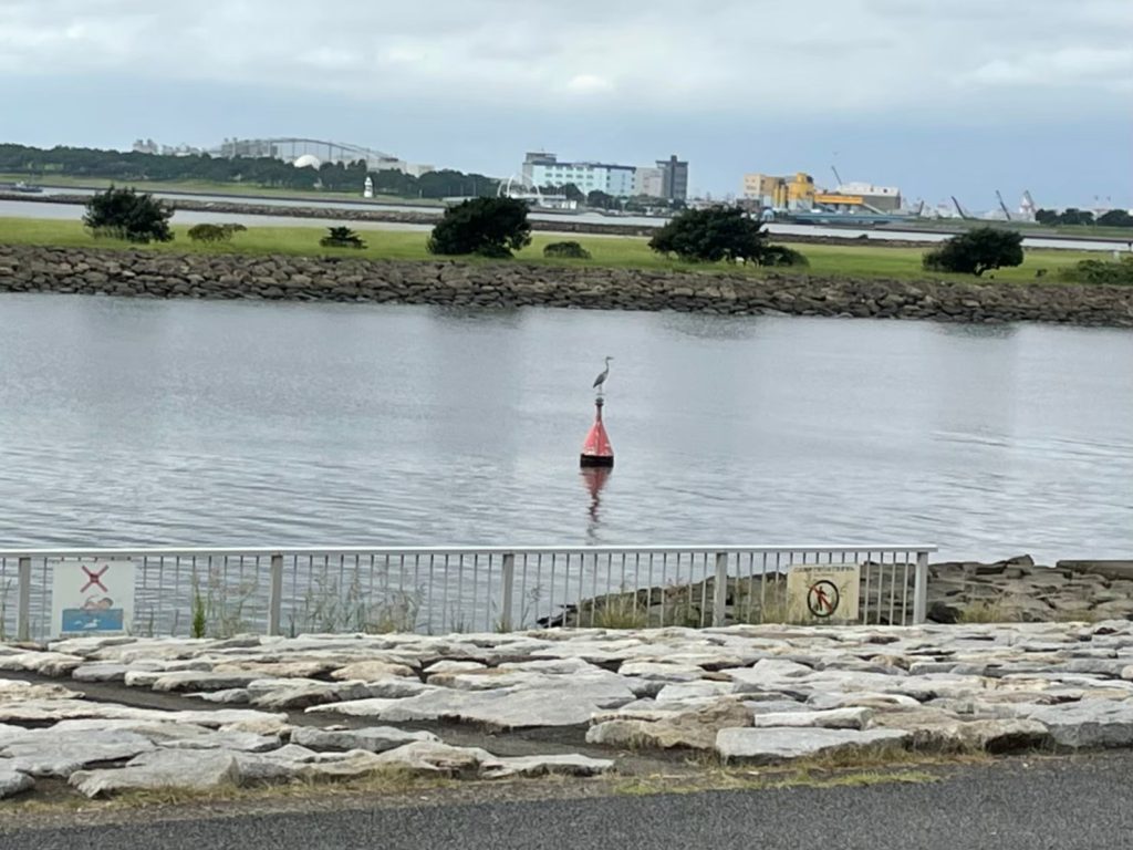 12月5日 日 葛西臨海公園の海沿いをクリーンアップする会 を開催します 深海合唱団