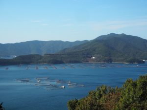 養殖場風景（愛媛県愛南町）