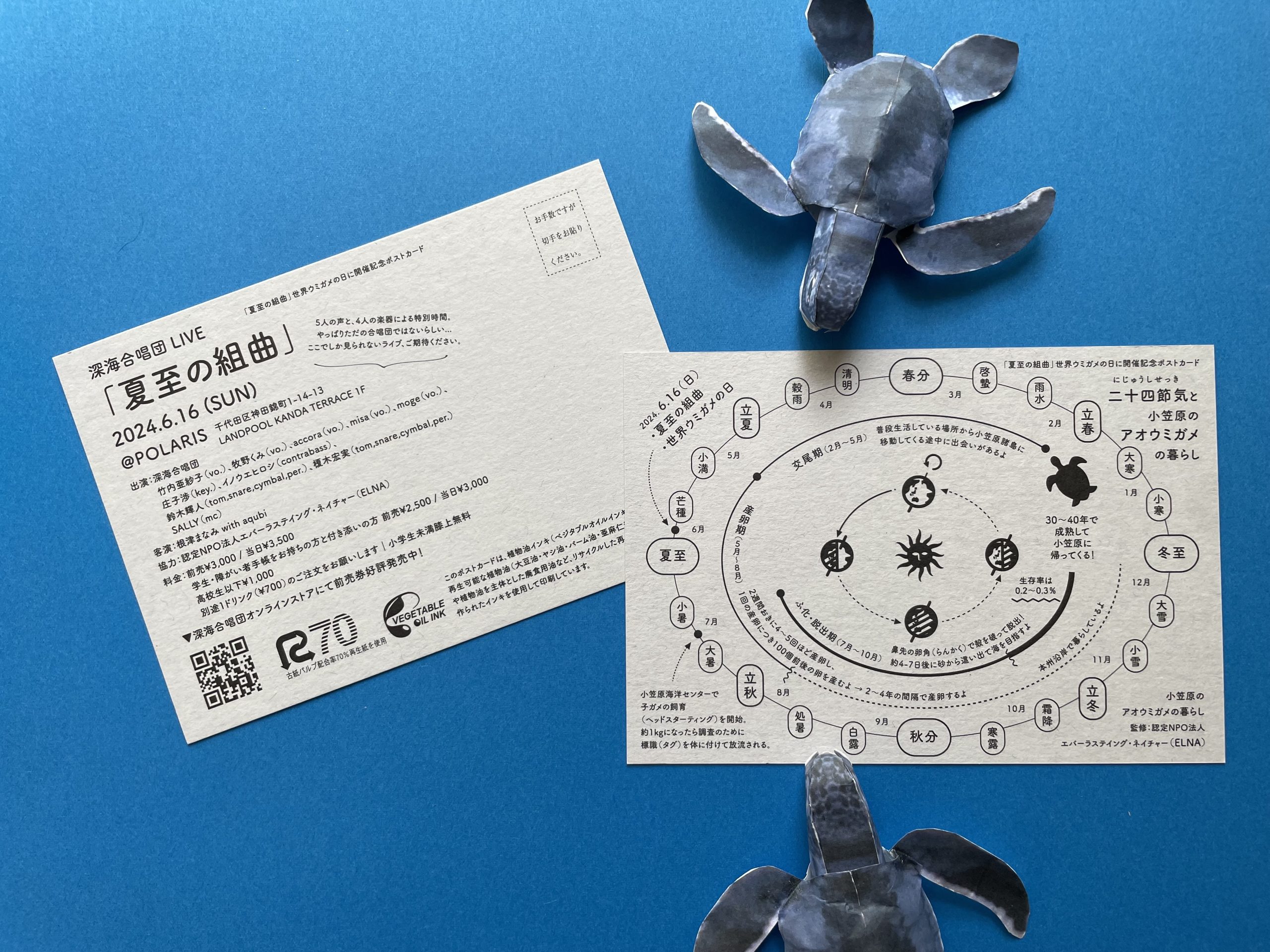 深海合唱団ライブ「夏至の組曲」世界ウミガメの日に開催記念ポストカード